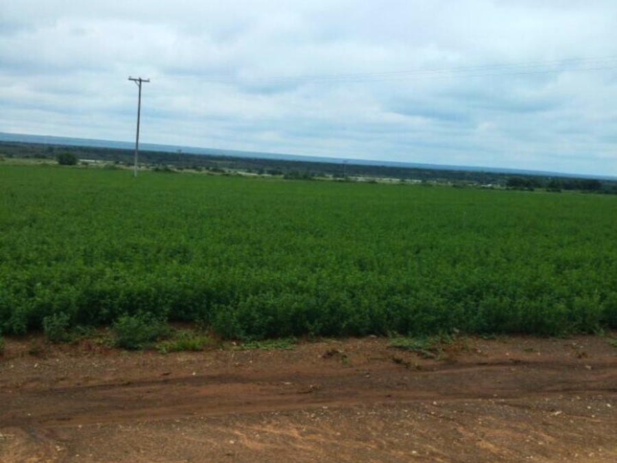 3 Bedroom Property for Sale in Barkly West Rural Northern Cape